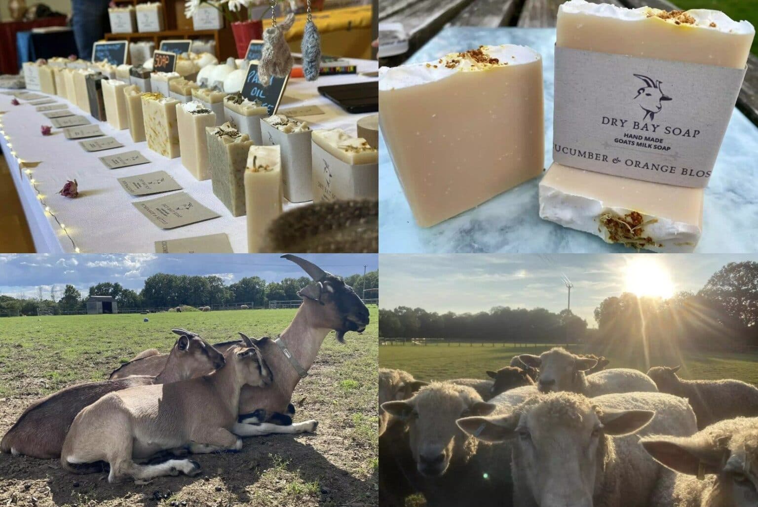 drybay smallholdings