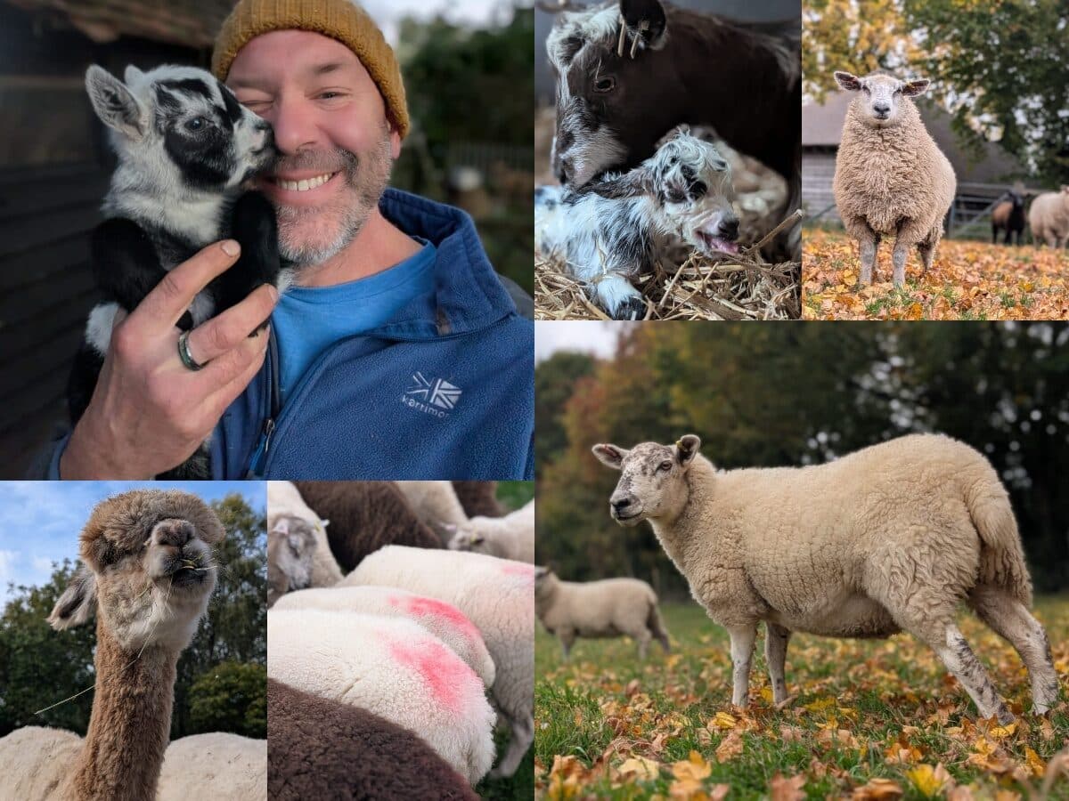 nov newsletter