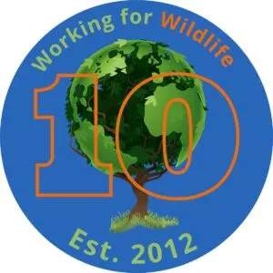 w4w logo