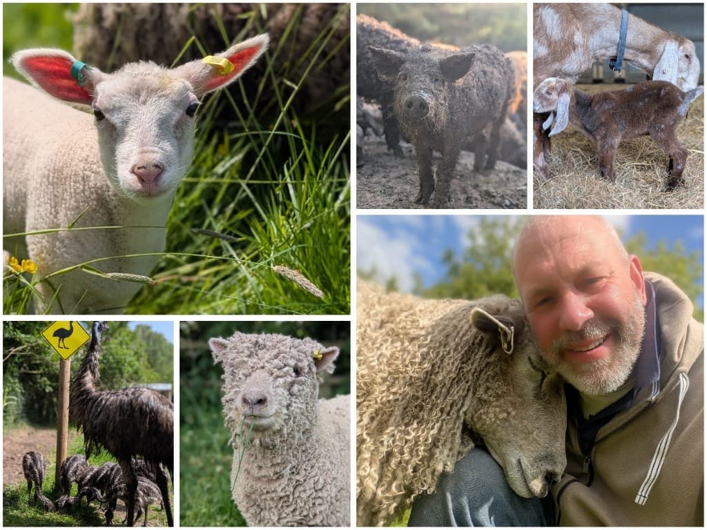 june newsletter collage