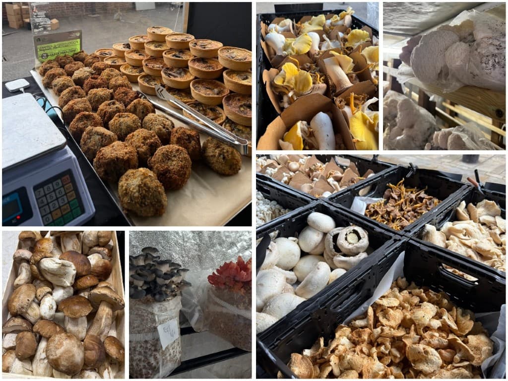 Nonsuch Mushrooms